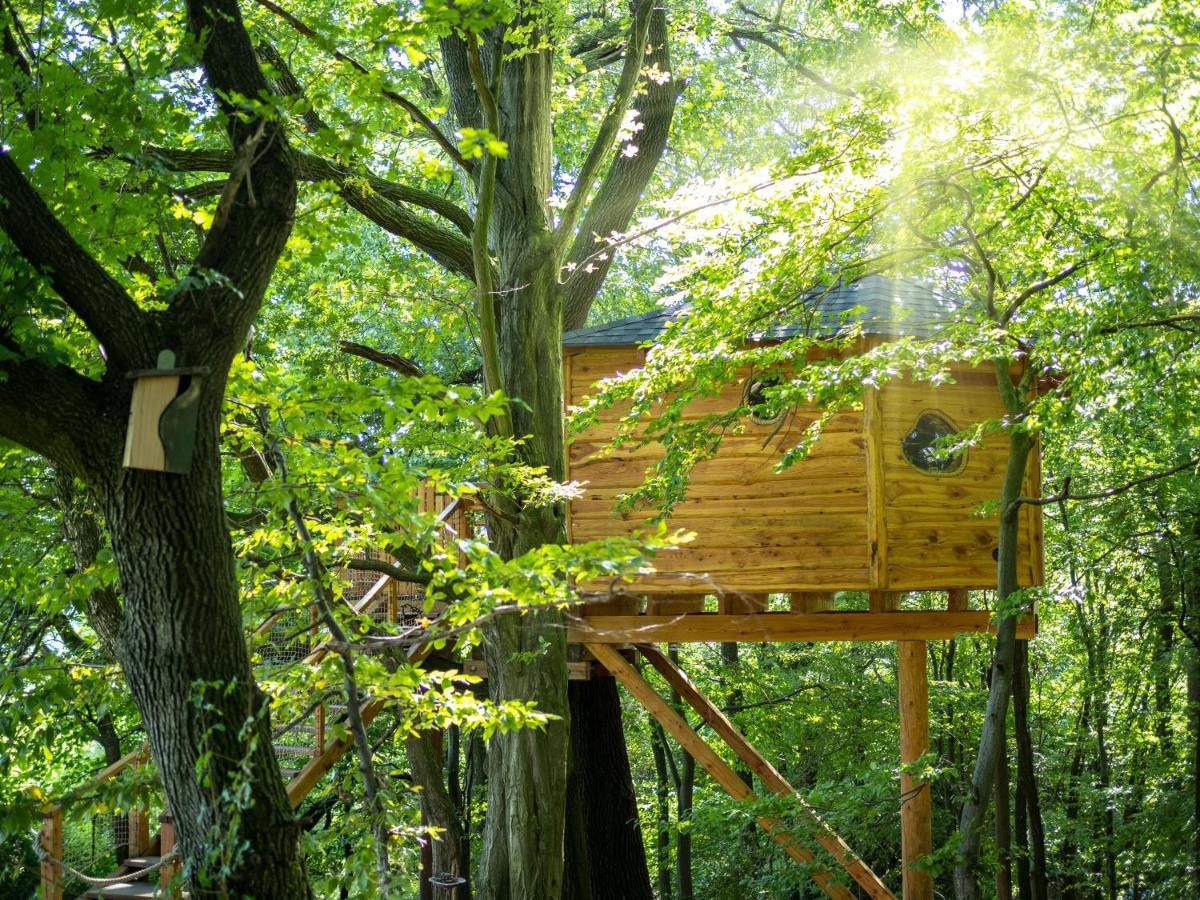 Hébergement de vacances Stromodomek Vlckova Zlín