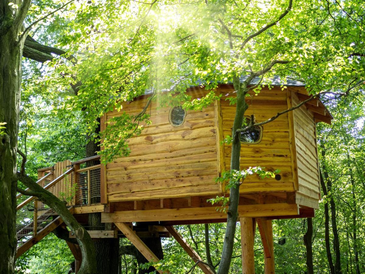 Hébergement de vacances Stromodomek Vlckova Zlín
